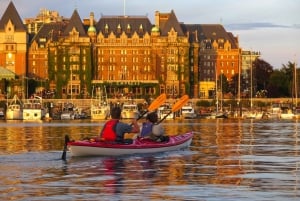 Victoria: Sunset Kayak Tour