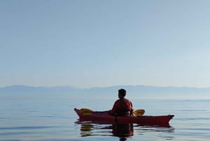 Victoria: Sunset Kayak Tour
