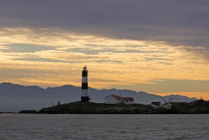 Victoria : excursion d'observation des baleines au coucher du soleil sur un bateau semi-couvert