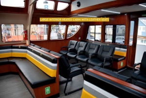 Victoria: Tour in barca semi-coperto con balene e animali selvatici