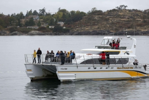 Victoria: Tour in barca semi-coperto con balene e animali selvatici