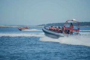 Виктория: экскурсия на лодке Zodiac с наблюдением за китами