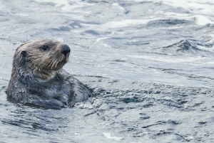 Victoria: winterse natuurervaring met warme dranken