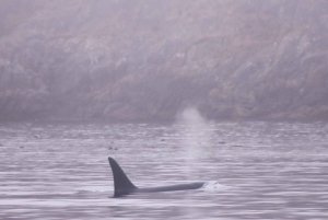 Victoria: winterse natuurervaring met warme dranken