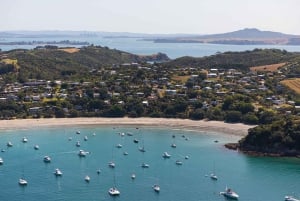Waiheke Island: Viini, ruoka ja saarikierros luksusbussilla