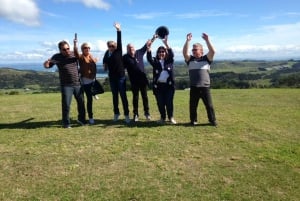 Waiheke Island: Viini, ruoka ja saarikierros luksusbussilla