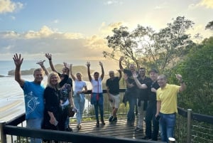 Excursión al Amanecer con los Wallabies en la Playa desde Mackay