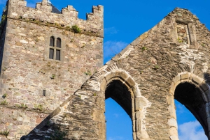 Waterford: City Highlights Walking Tour