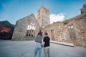 Passeio épico a pé pelos tesouros de Waterford no Triângulo Viking