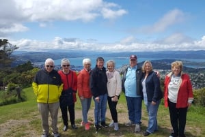 Wellington: Cave to Coast Highlights Guided Tour