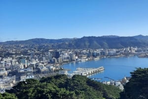 Wellington: Cave to Coast Highlights Guided Tour