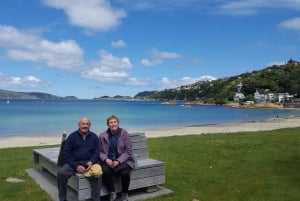 Wellington: Cave to Coast Highlights Guided Tour