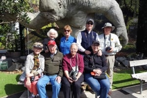 Wellington: Cave to Coast Highlights Guided Tour