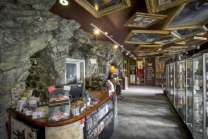 Wellington: Cave to Coast Highlights Guided Tour