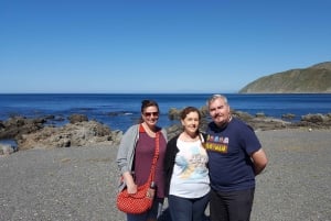 Wellington: Cave to Coast Highlights Guided Tour