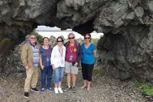Wellington: Cave to Coast Highlights Guided Tour