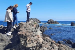 Wellington: Cave to Coast Highlights Guided Tour