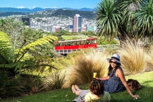 Wellington: Cave to Coast Highlights Guided Tour