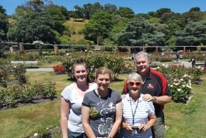 Wellington: Cave to Coast Highlights Guided Tour