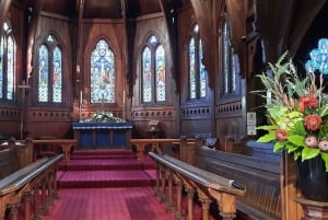 Wellington: Cave to Coast Highlights Guided Tour