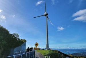 Wellington: Cave to Coast Highlights Guided Tour