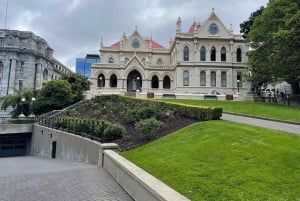Wellington: Cave to Coast Highlights Guided Tour