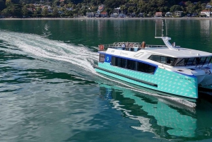 Wellington: Commented Harbor Explorer tour