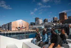 Wellington: Commented Harbor Explorer tour