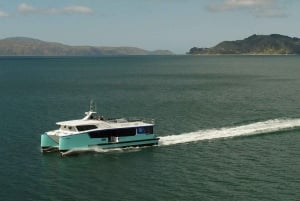 Wellington: Commented Harbor Explorer tour