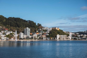 Wellington: Commented Harbor Explorer tour