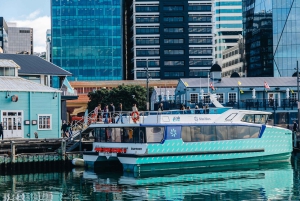 Wellington: Commented Harbor Explorer tour