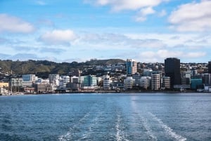 Wellington: Commented Harbor Explorer tour