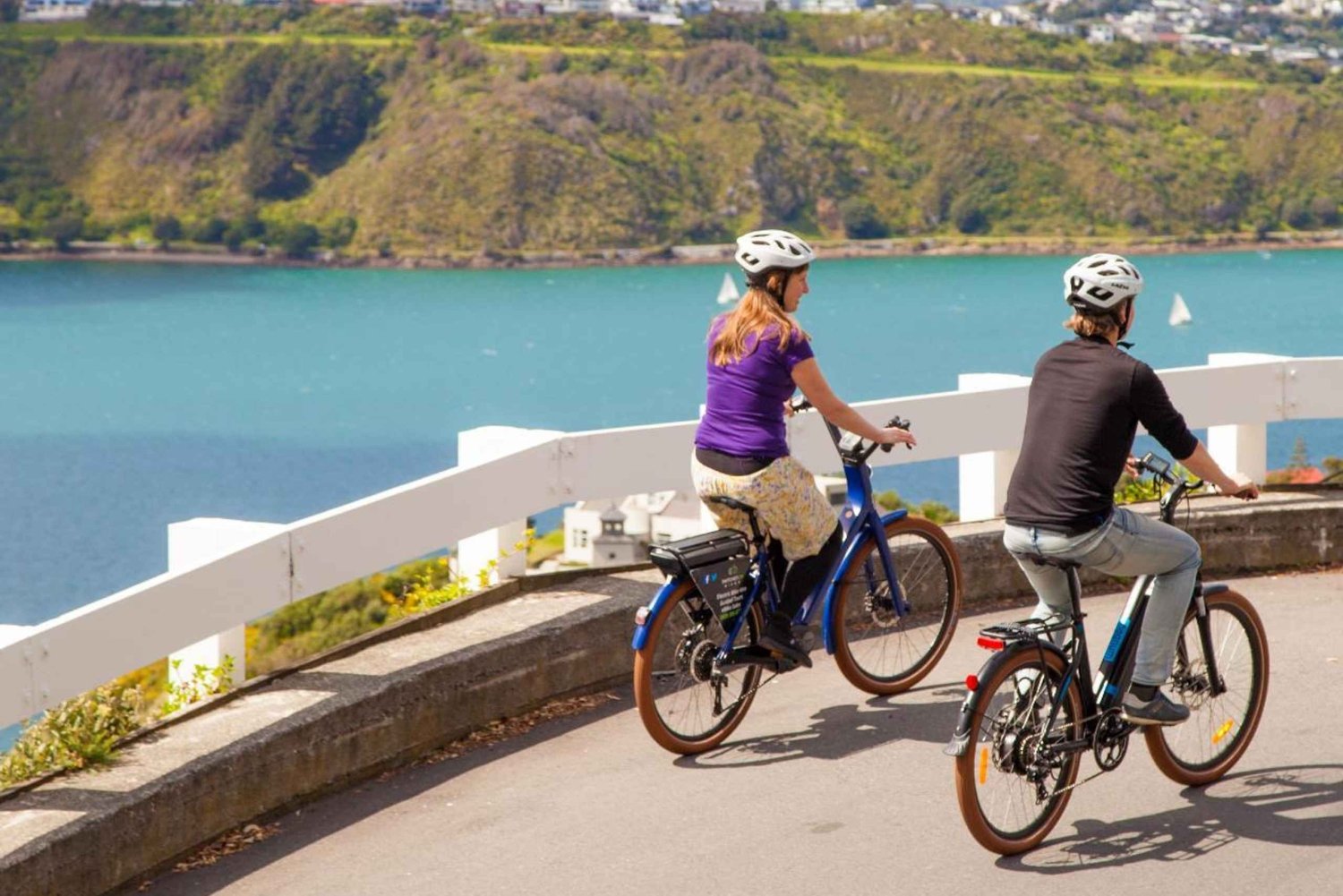 Wellington: Verhuur elektrische fietsen