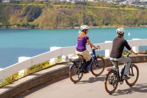 Wellington: Uthyrning av elcyklar