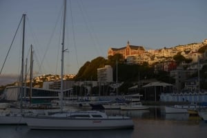 Wellington: Privétour met lunch