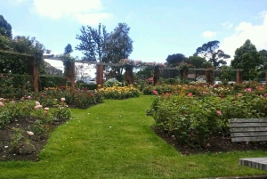 Wellington: Privétour met lunch