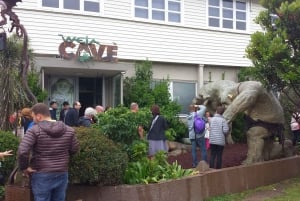 Wellington: Privétour met lunch