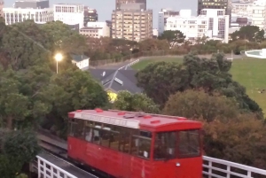 Wellington: Privétour met lunch