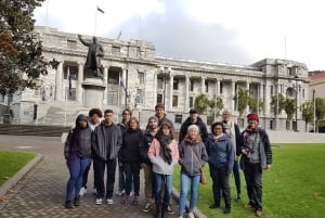 Wellington: Privétour met lunch