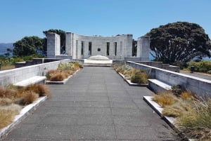 Wellington: Privétour met lunch