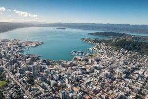 Wellington: Scenic Harbour Helikopterilento