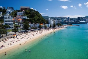 Wellington: Scenic Harbour Helikopterilento