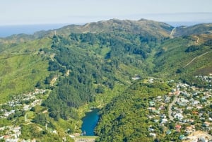 Wellington: Scenic Harbour Helikopterilento