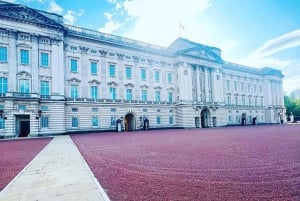 Da Westminster a Trafalgar: il tour dei punti salienti della storia di Londra