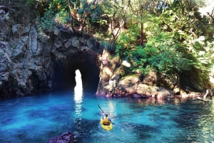 Whangamata: каякинг с гидом на острове Донат