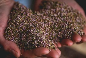 Whitby: Guidet rundvisning på destilleri med smagning af gin