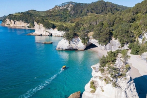Whitianga : sortie en bateau à fond transparent de 2 heures