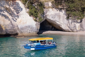 Whitianga : sortie en bateau à fond transparent de 2 heures
