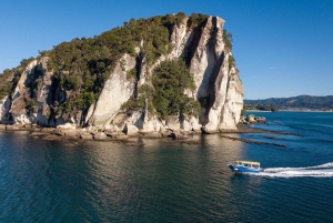 Whitianga : sortie en bateau à fond transparent de 2 heures