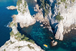Whitianga : sortie en bateau à fond transparent de 2 heures